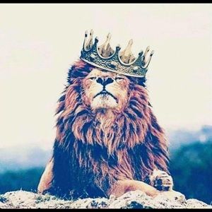 Meet your Posher, Derek